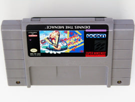 Dennis The Menace (Super Nintendo / SNES)
