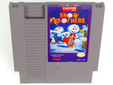 Snow Brothers (Nintendo / NES)