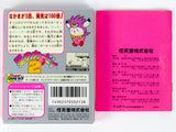 Hoshi No Kirby 2 [JP Import] (Game Boy)