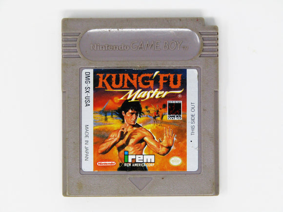 Kung Fu Master (Game Boy)