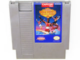 Gold Medal Challenge '92 (Nintendo / NES)