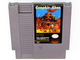 Genghis Khan (Nintendo / NES)