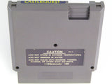 Castlequest (Nintendo / NES)
