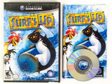 Surf's Up (Nintendo Gamecube)