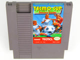 Tecmo Cup Soccer (Nintendo / NES)