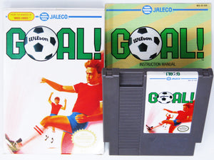 Goal (Nintendo / NES)