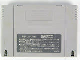 Magic Sword [JP Import] (Super Famicom)