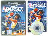 NBA Street (Nintendo Gamecube)