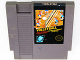 Volleyball [5 Screw] (Nintendo / NES)