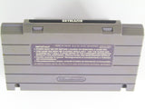 Skyblazer  (Super Nintendo / SNES)