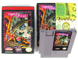 Might and Magic (Nintendo / NES)