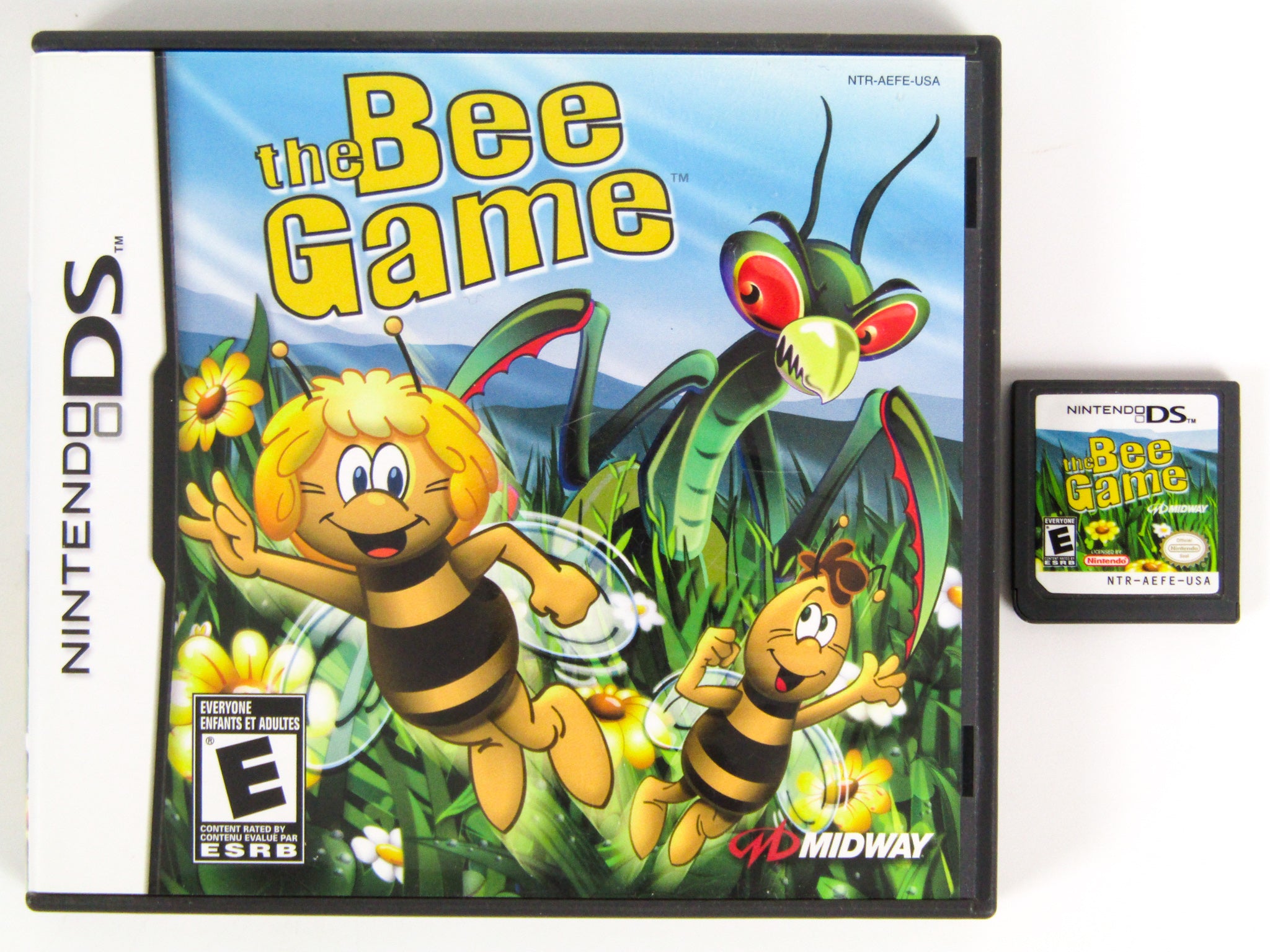 The Bee Game (Nintendo DS) – RetroMTL