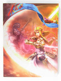 Hyrule Warriors [Prima Games] (Game Guide)