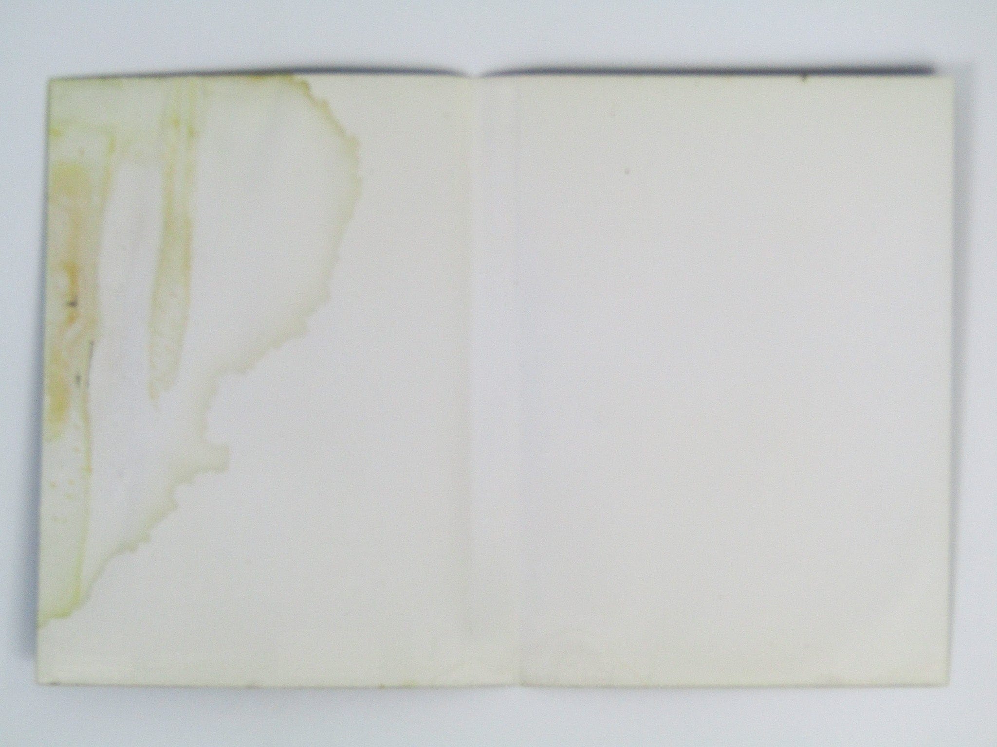 Champions of Norrath (Playstation 2 / PS2) - RetroMTL