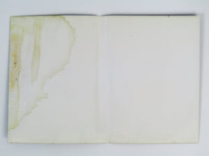 Champions of Norrath (Playstation 2 / PS2) - RetroMTL