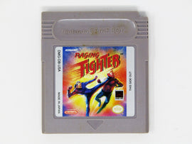 Raging Fighter (Nintendo Game Boy)