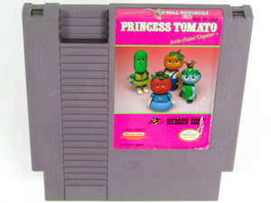 Princess Tomato in the Salad Kingdom (Nintendo / NES)