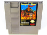 Genghis Khan (Nintendo / NES)