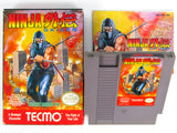 Ninja Gaiden (Nintendo / NES)