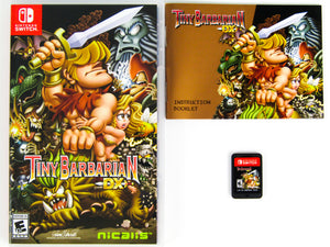 Tiny Barbarian DX (Nintendo Switch)