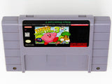 Kirby's Dream Land 3 (Super Nintendo / SNES)