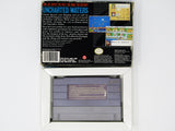Uncharted Waters (Super Nintendo / SNES)