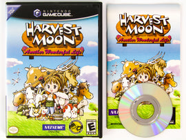 Harvest Moon Another Wonderful Life (Nintendo GameCube)