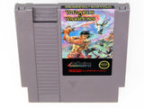 Wizards and Warriors (Nintendo / NES)
