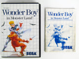 Wonder Boy In Monster Land (Sega Master System)