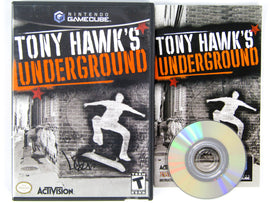 Tony Hawk Underground (Nintendo GameCube)