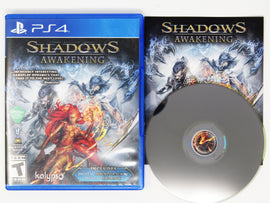 Shadows Awakening (PlayStation 4 / PS4)