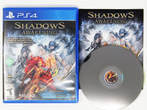 Shadows Awakening (Playstation 4 / PS4)