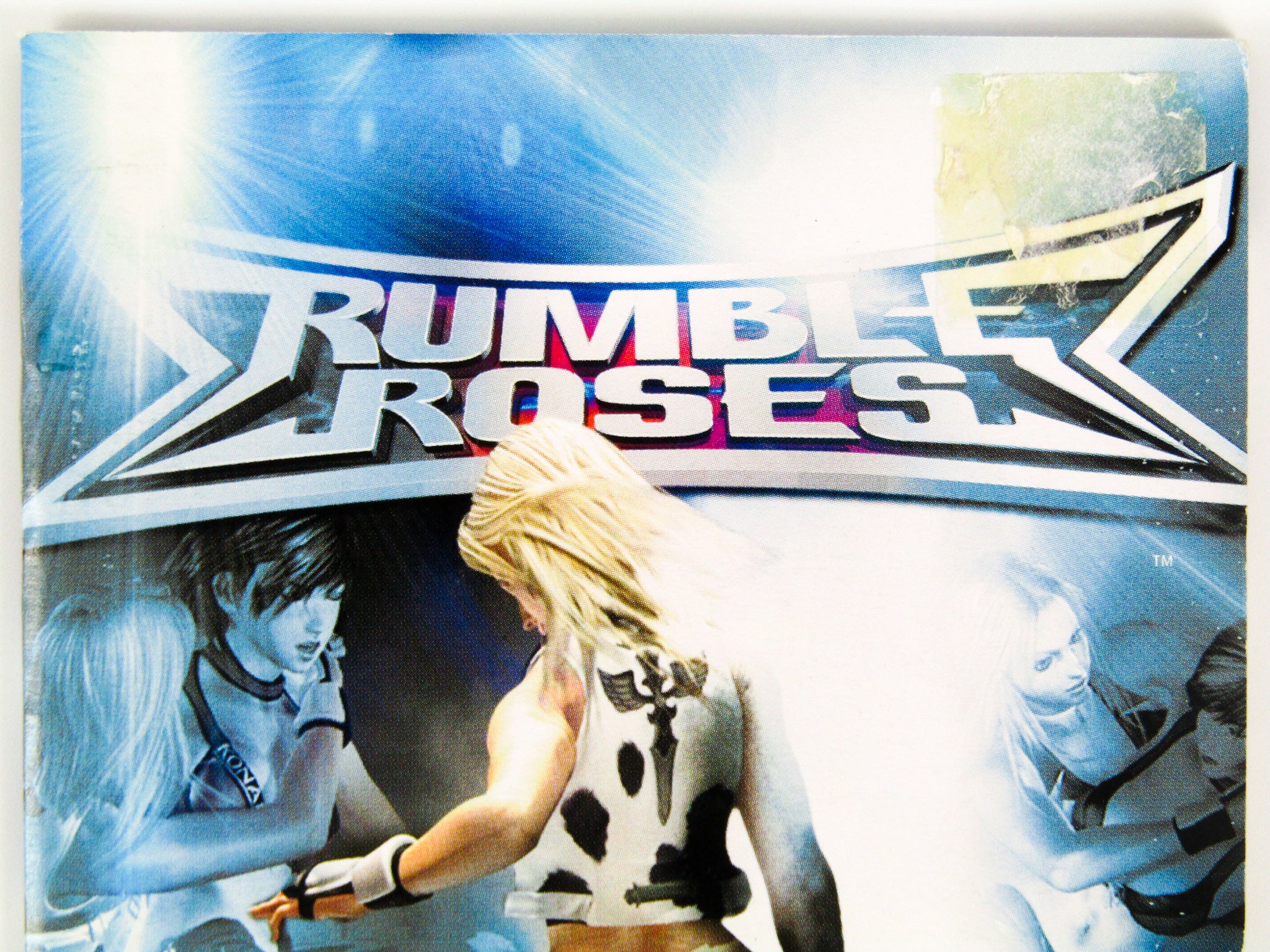 Rumble Roses (PlayStation 2 / PS2) – Retro MTL