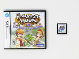 Harvest Moon: The Tale Of Two Towns (Nintendo DS)