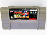 The Twisted Tales of Spike McFang (Super Nintendo / SNES)
