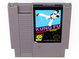 Kung Fu (Nintendo / NES)