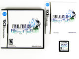 Final Fantasy Crystal Chronicles: Echoes Of Time (Nintendo DS)