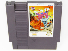 Ninja Crusaders (Nintendo / NES)