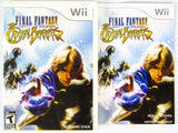 Final Fantasy Crystal Chronicles: Crystal Bearers (Nintendo Wii)