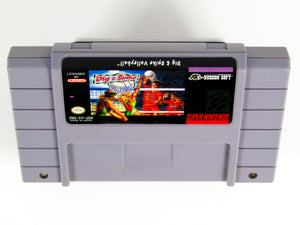 Dig And Spike Volleyball (Super Nintendo / SNES)