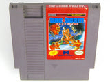 Tag Team Wrestling (Nintendo / NES)