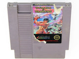 Wizards and Warriors (Nintendo / NES)