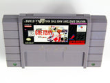 Wayne Gretzky And The NHLPA All-Stars (Super Nintendo / SNES)