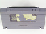 Foreman For Real (Super Nintendo / SNES)