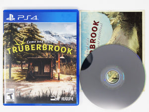 Truberbrook (Playstation 4 / PS4)