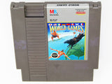 World Games (Nintendo / NES)