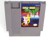 Castle Of Dragon (Nintendo / NES)