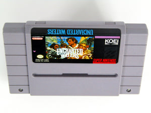 Uncharted Waters (Super Nintendo / SNES)