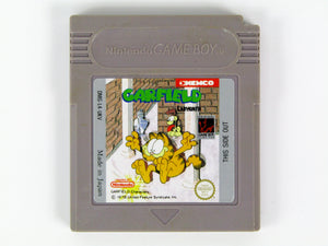 Garfield Labyrinth [PAL] (Game Boy)