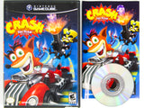 Crash Tag Team Racing (Nintendo Gamecube)